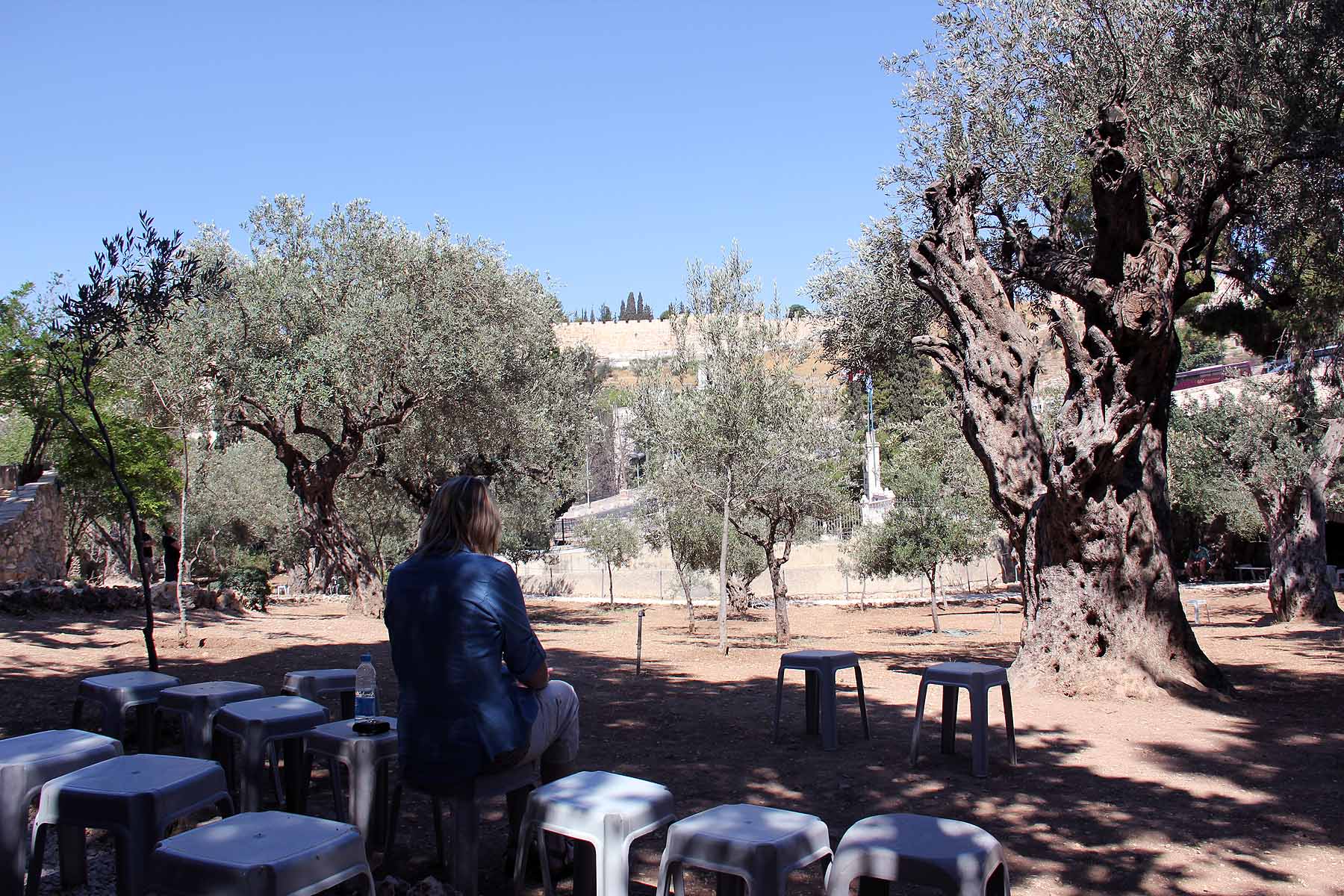 Gethsemane image 18